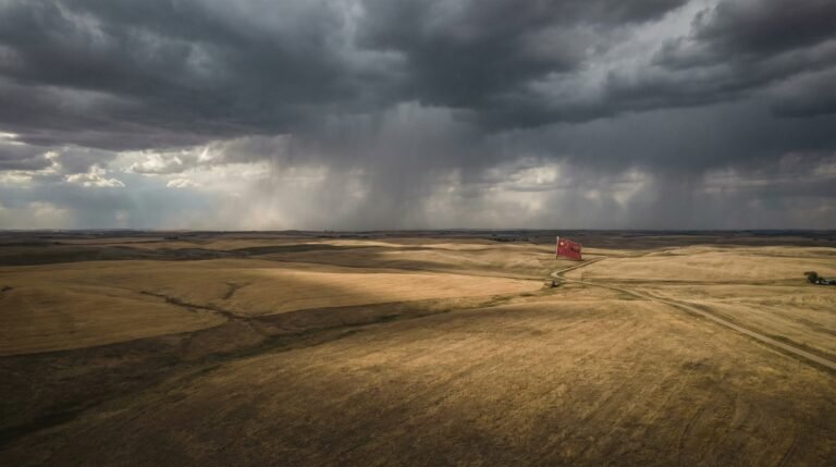 Aerial view of American farmland with foreign ownership flag visible on fence post
